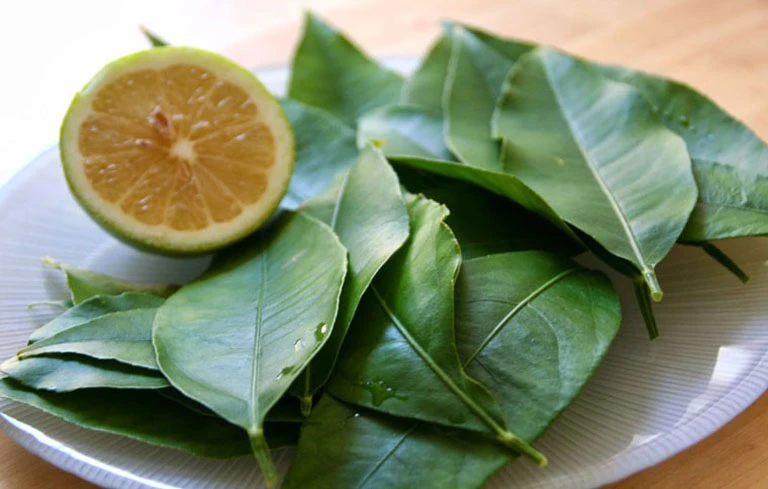 Bài thuốc xông trị viêm xoang từ lá chanh