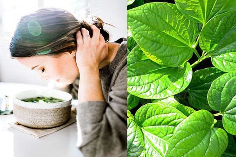 Bài thuốc xông từ lá trầu không