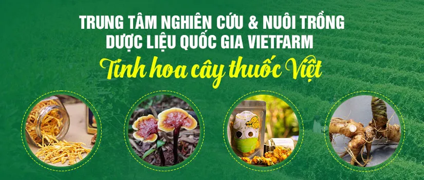 Công Ty Cổ Phần Nghiên Cứu Và Nuôi Trồng Dược Liệu Quốc Gia VietFarm