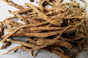 Cách sử dụng sâm dây Ngọc Linh khô và một số lưu ý cần biết