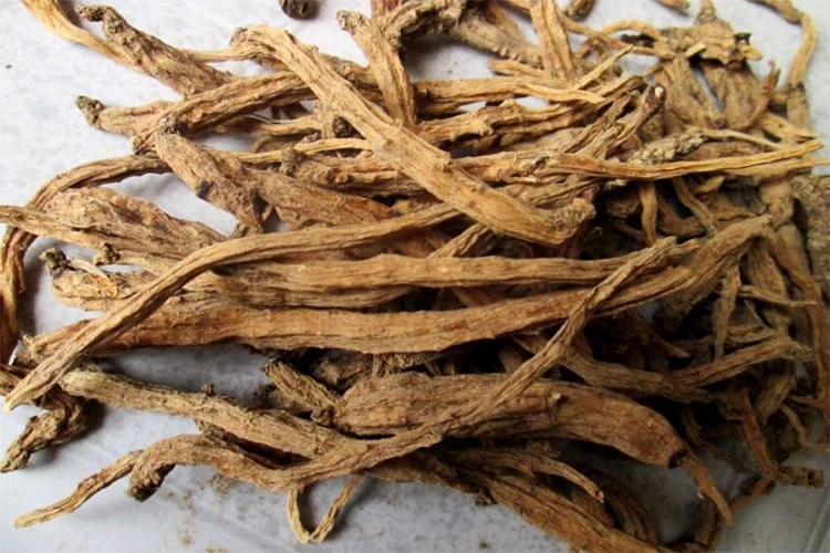 Sâm dây ngọc linh khô