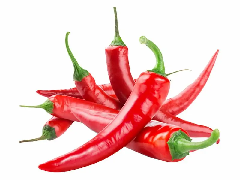 Ớt sừng đỏ chữa suy giãn tĩnh mạch