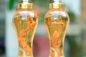 Rượu sâm dây ngọc linh có tác dụng gì với sức khỏe?