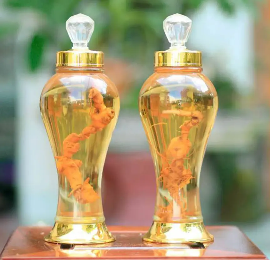 Rượu sâm dây ngọc linh có tác dụng rất tốt cho sức khỏe