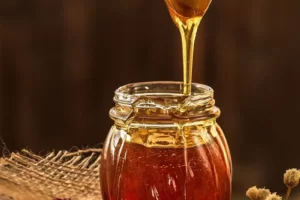 Sâm ngọc linh uống lúc nào tốt nhất trong ngày?| Thượng Dược