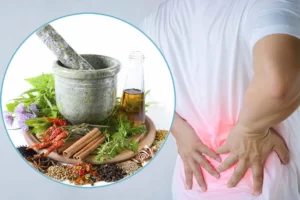 TOP 10+ Cây thuốc nam chữa đau lưng tốt, hiệu quả nhất