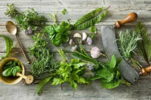 TOP 6 cây thuốc nam trị thiếu máu cơ tim hiệu quả tốt nhất