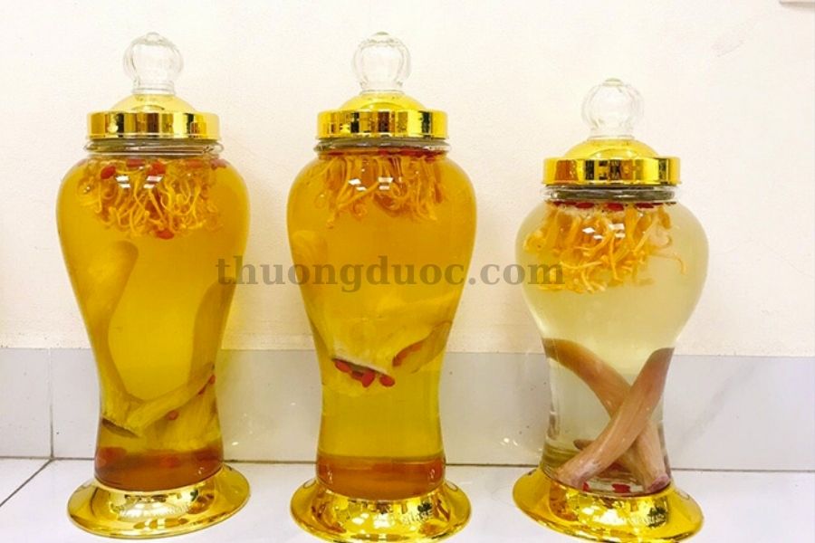 Bột nhung hươu có tác dụng gì? Cách sử dụng bột nhung hươu