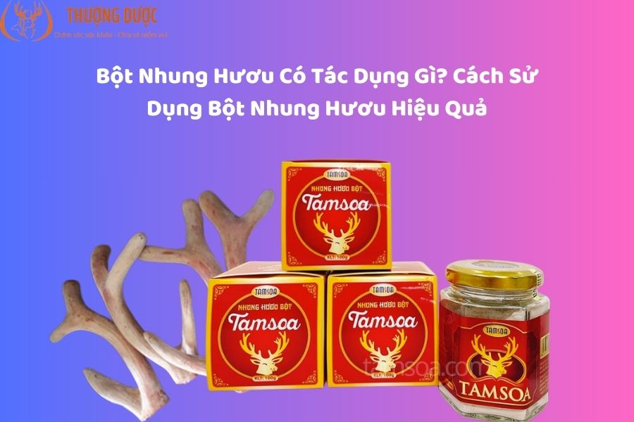 Bột nhung hươu có tác dụng gì? Giải đáp