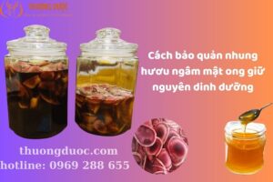 Hướng Dẫn Cách Bảo Quản Nhung Hươu Ngâm Mật Ong Giữ Nguyên Dinh Dưỡng