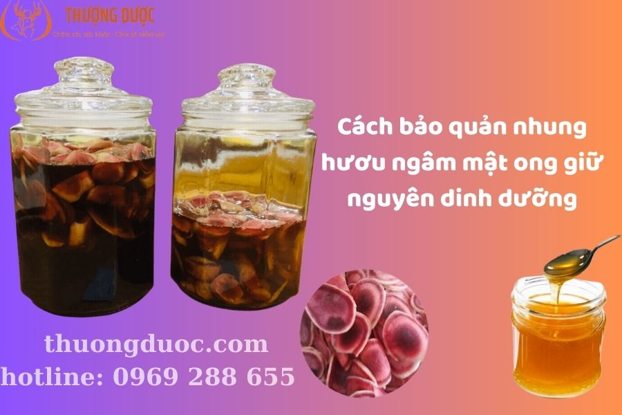 Cách bảo quản nhung hươu ngâm mật ong để bồi bổ hiệu quả Cách bảo quản nhung hươu ngâm mật ong để bồi bổ