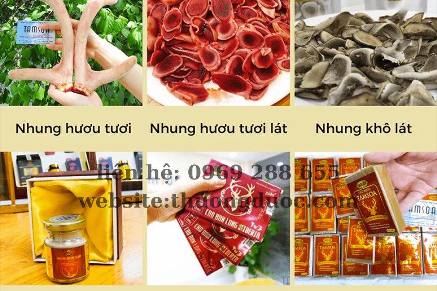 Cách bảo quản nhung hươu ngâm mật ong để được lâu, nhiều dinh dưỡng Cách bảo quản nhung hươu ngâm mật ong để được lâu