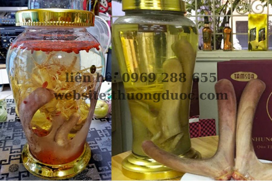 Cách bảo quản nhung hươu ngâm mật ong cho người mới dùng Cách bảo quản nhung hươu ngâm mật ong ai cũng nên biết