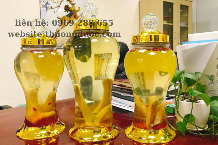 Cách sử dụng nhung hươu tươi cho mọi người