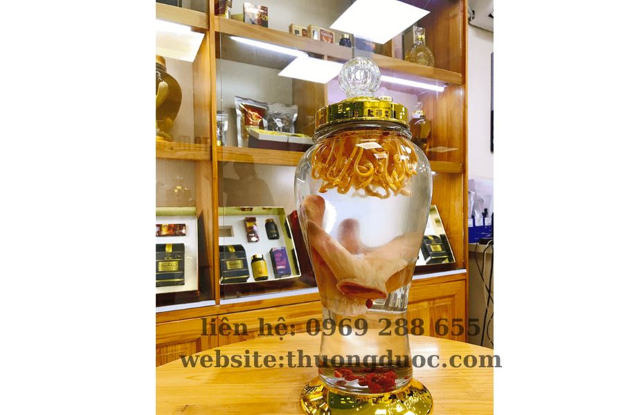 Cách sử dụng nhung hươu tươi đại bổ