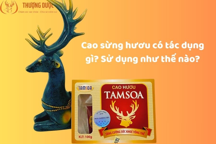 Cao sừng hươu có tác dụng gì? Sử dụng như thế nào? Giải đáp Cao sừng hươu có tác dụng gì? Sử dụng như thế nào?