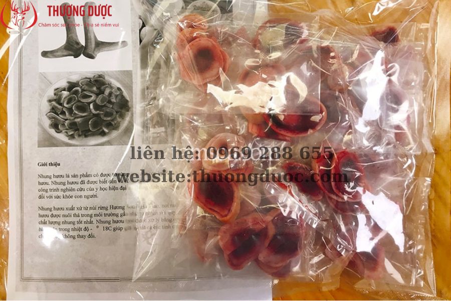 Cắt nhung hươu có đau không? Kỹ thuật cắt nhung hươu 