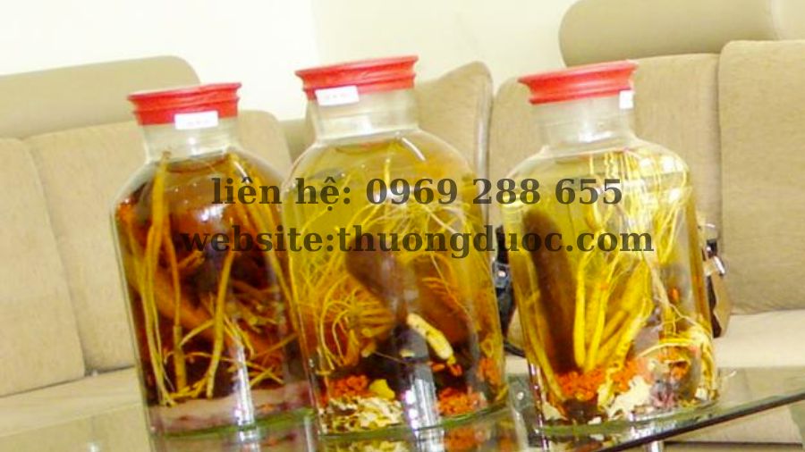 Bật mí địa điểm mua nhung hươu ở Hà Nội "xịn" nhất Bật mí địa điểm mua nhung hươu ở Hà Nội chất lượng