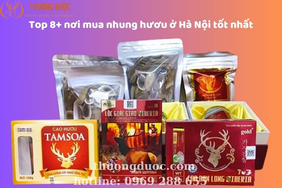 Top 8+ nơi mua nhung hươu ở Hà Nội tốt nhất, chất lượng Top 8+ nơi mua nhung hươu ở Hà Nội tốt nhất
