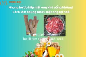 Nhung Hươu Hấp Mật Ong Có Khó Uống Không? Cách Làm Nhung Hươu Hấp Mật Ong Tại Nhà