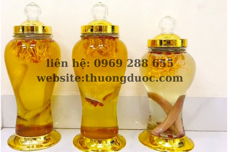 Nhung hươu ngâm rượu bao lâu thì uống được? Bảo quản như thế nào