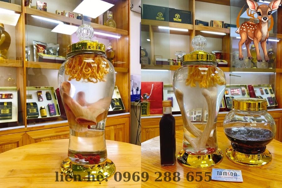 Nhung hươu ngâm rượu có tác dụng gì? Cải thiện sức khoẻ nhanh chóng