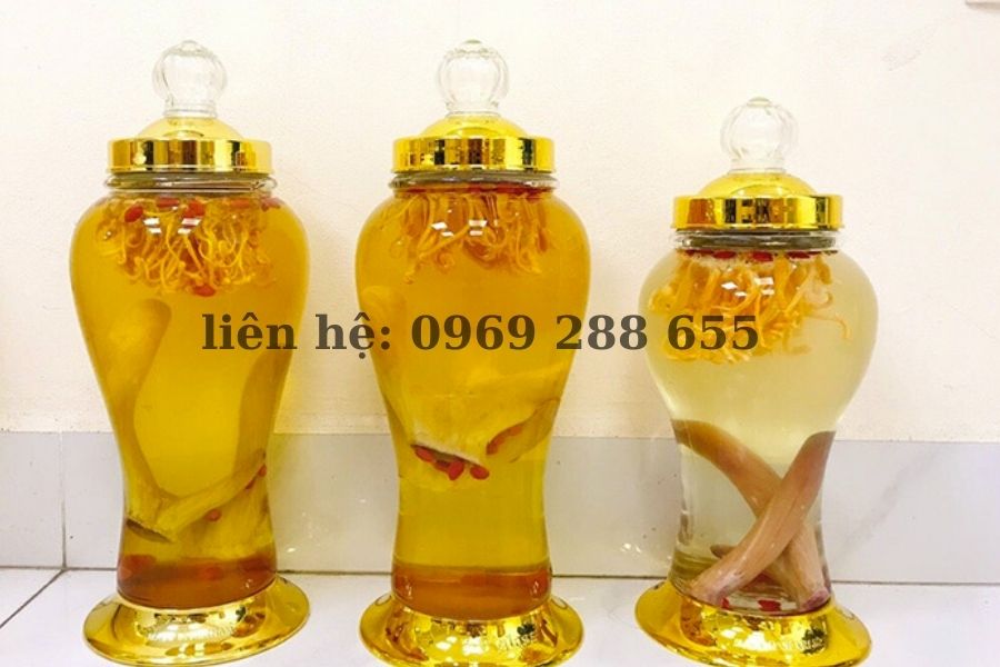 Nhung hượu ngâm rượu có tác dụng gì? Cách ngâm nhung hươu tại nhà