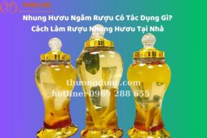 Nhung Hươu Ngâm Rượu Có Tác Dụng Gì? Cách Làm Rượu Nhung Hươu Tại Nhà