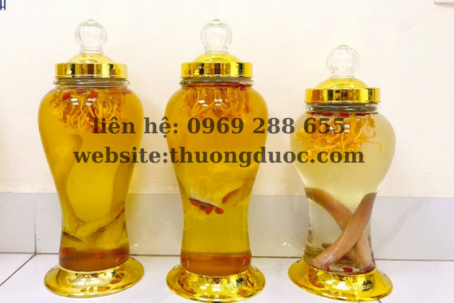 Nhung hươu ngâm rượu với gì? Rượu nhung hươu hoài sơn