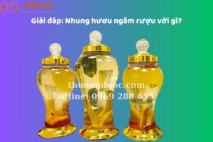 Nhung Hươu Ngâm Rượu Với Gì? Cách Làm Rượu Nhung Hươu Tại Nhà