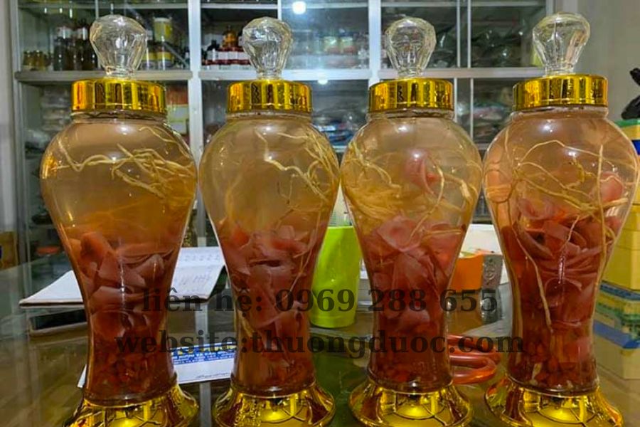 Hướng dẫn sử dụng rượu nhung hươu Hương Sơn bồi bổ Hướng dẫn sử dụng rượu nhung hươu Hương Sơn đúng cách