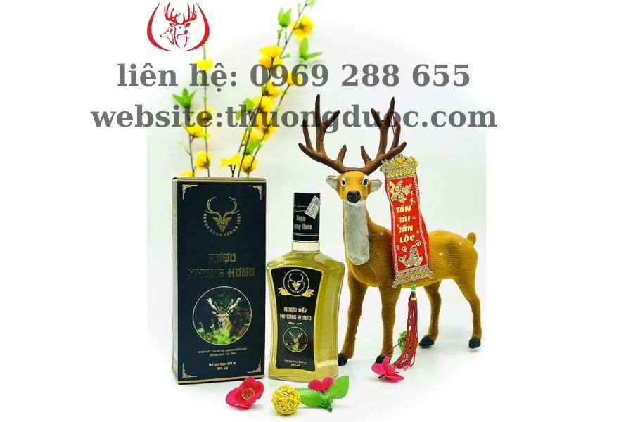 Rượu nhung hươu Hương Sơn chất lượng cho phái mạnh bồi bổ Rượu nhung hươu Hương Sơn chất lượng cho phái mạnh