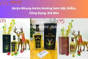Tổng Hợp Thông Tin Chi Tiết Về Rượu Nhung Hươu Hương Sơn