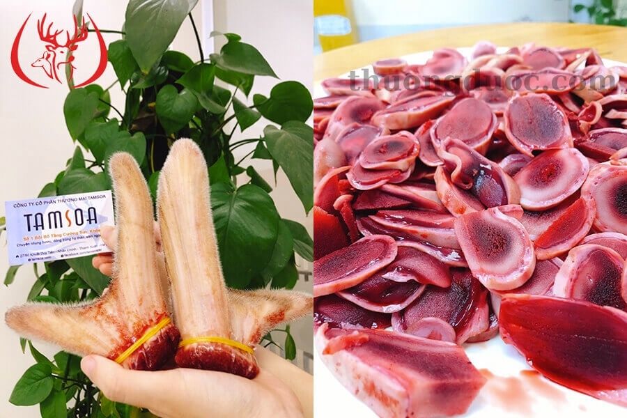 Top 7 tác dụng của nhung hươu với phụ nữ 