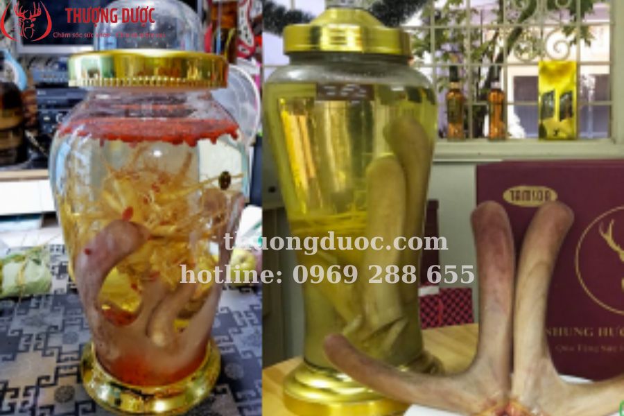 Bài thuốc ngâm rượu bồi bổ sức khoẻ theo đông y bạn nên biết Bài thuốc ngâm rượu bồi bổ sức khoẻ theo đông y