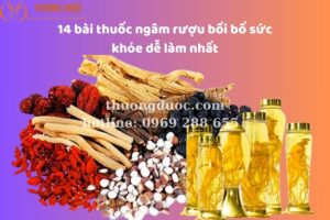 14 bài thuốc ngâm rượu bồi bổ sức khỏe dễ làm nhất