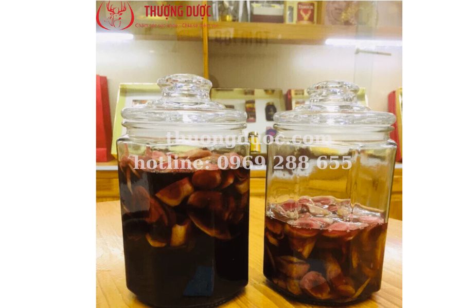 Hướng dẫn cách làm nhung hươu ngâm mật ong tại nhà nhanh chóng