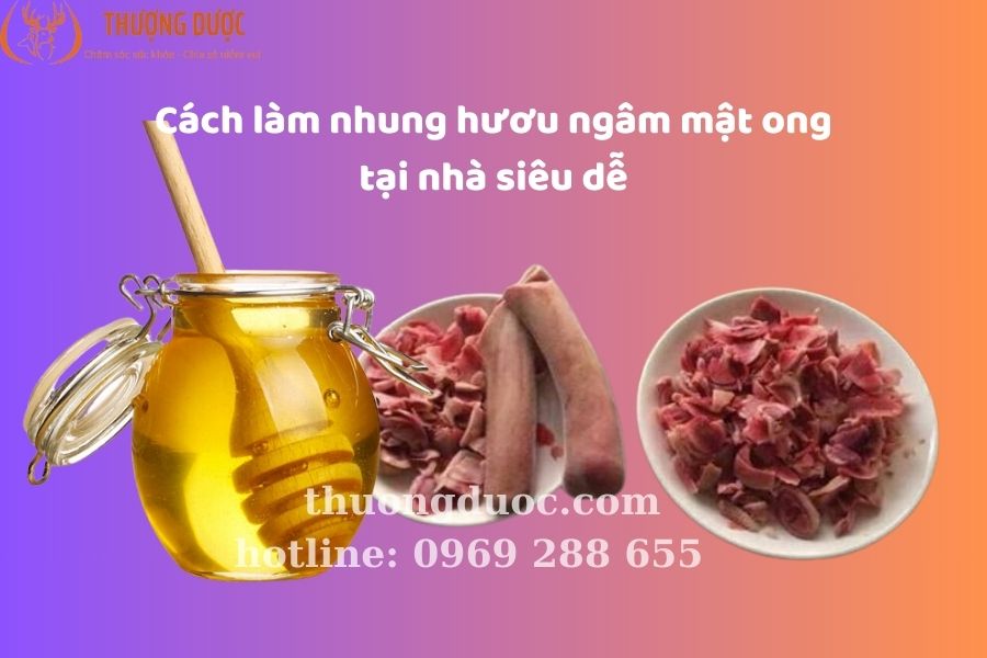 Cách làm nhung hươu ngâm mật ong đơn giản tại nhà