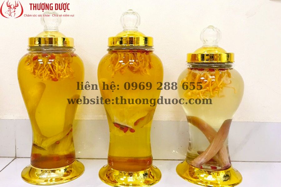 Cách ngâm rượu nhung hươu tươi mới nhất