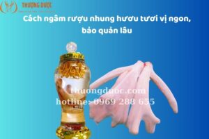 Cách ngâm rượu nhung hươu tươi vị ngon, bảo quản lâu