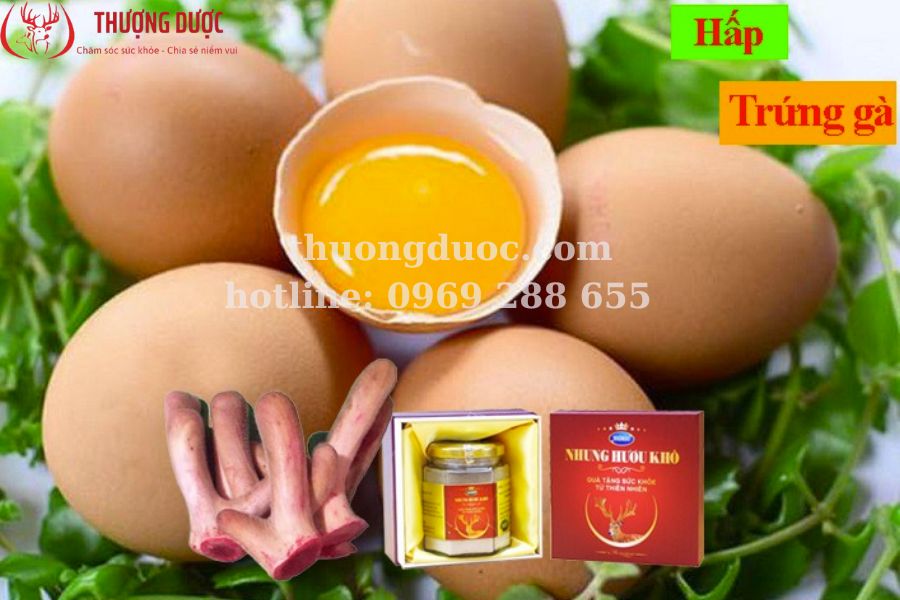 Cách sử dụng nhung hươu để tăng cân siêu dễ ai cũng nên biết Cách sử dụng nhung hươu để tăng cân siêu dễ