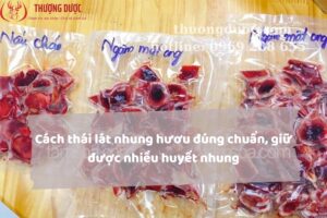 Cách thái lát nhung hươu đúng chuẩn, giữ được nhiều huyết nhung