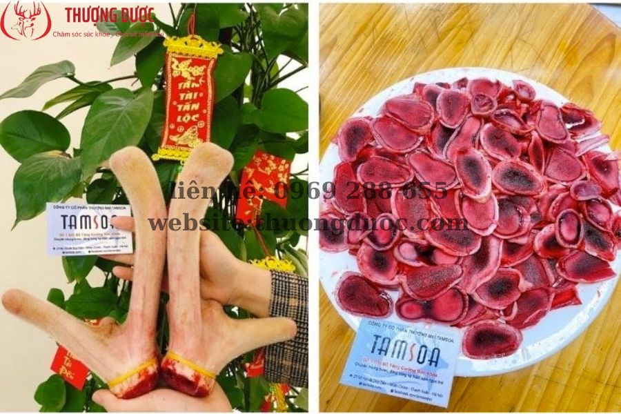 Thông tin về giá bán nhung hươu tươi