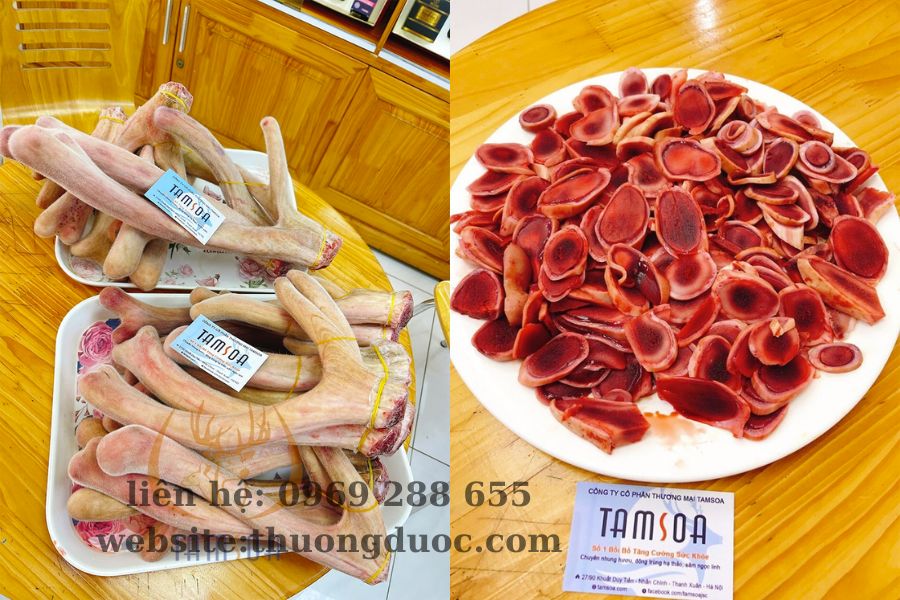 Giá nhung hươu tươi hiện nay cho mọi người