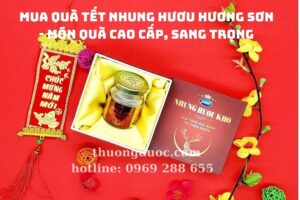 Mua quà tết nhung hươu Hương Sơn – Món quà cao cấp, sang trọng