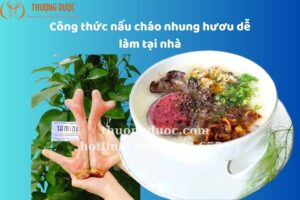 Công thức nấu cháo nhung hươu dễ làm tại nhà