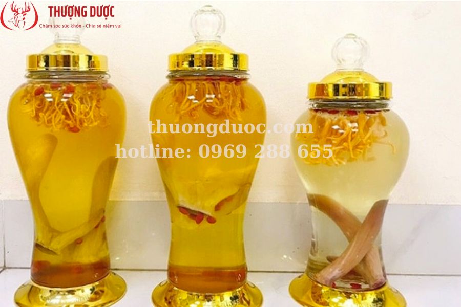 Nhung hươu ngâm rượu với thuốc bắc cải thiện sinh lý