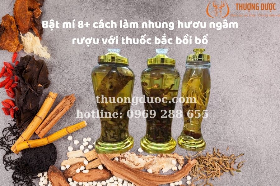 Bật mí 8+ cách làm nhung hươu ngâm rượu với thuốc bắc bồi bổ