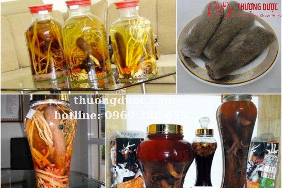 Nhung hươu ngâm với gì tốt nhất? Nhung hươu ngâm rượu