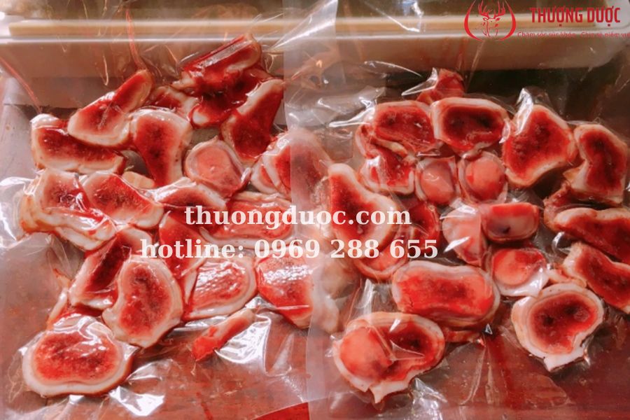 Nhung hươu ngâm với gì tốt nhất? Cập nhật 2024